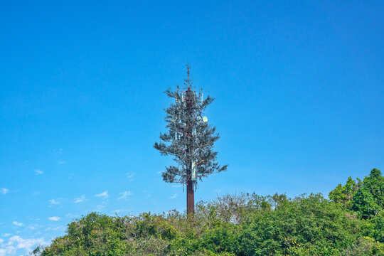 树形无线发射塔