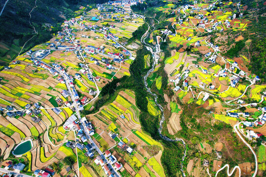 巫溪油菜基地