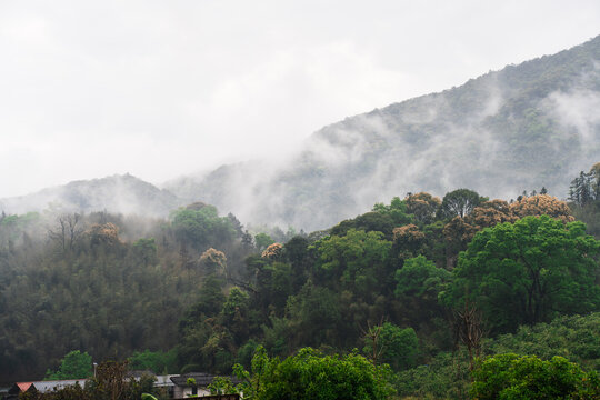 乡村风景