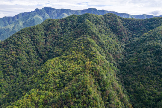 绿色高山