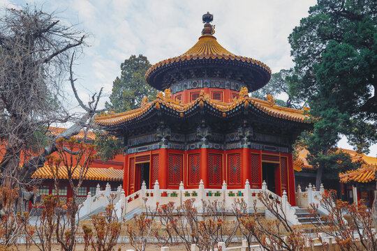 北京故宫紫禁城御花园