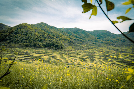 梯田