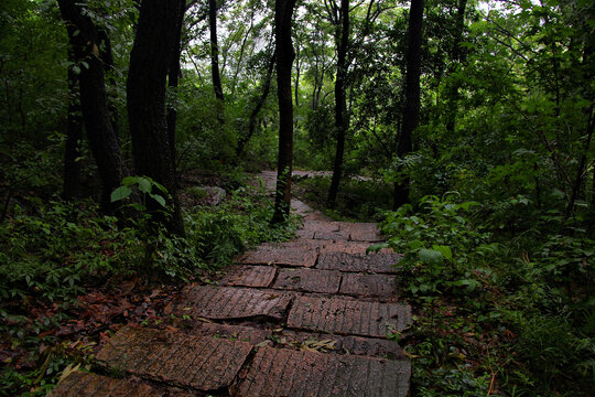 登山石板路