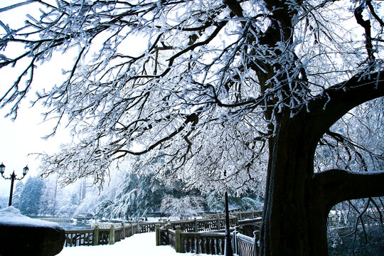 庐山雪景