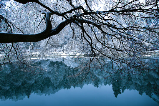 庐山雪景