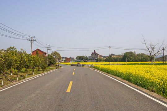 美丽乡村街道