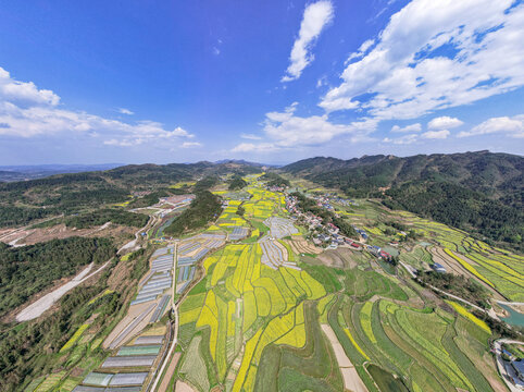 南方山川丘陵油菜花乡村田园