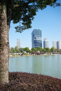 城市公园湖景