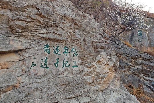 国家植物园寿安山石刻