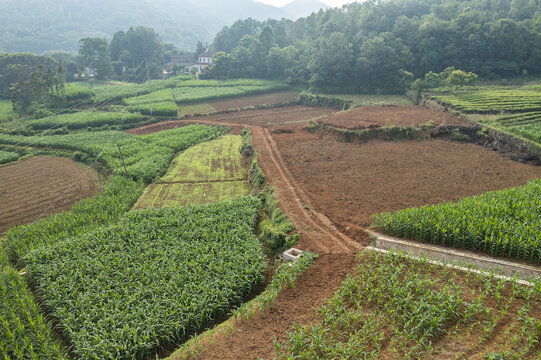 农村风景