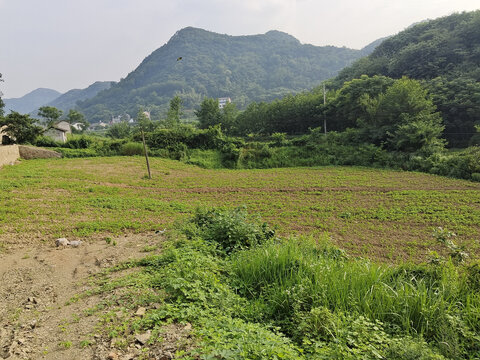 农村风景