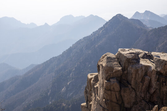 泰山