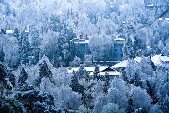 庐山雪景