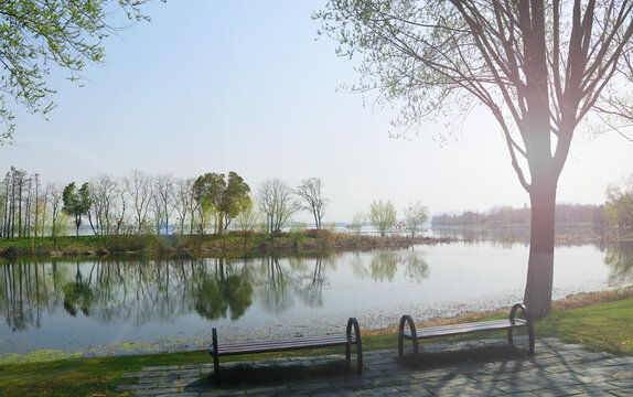 清晨湖边风景