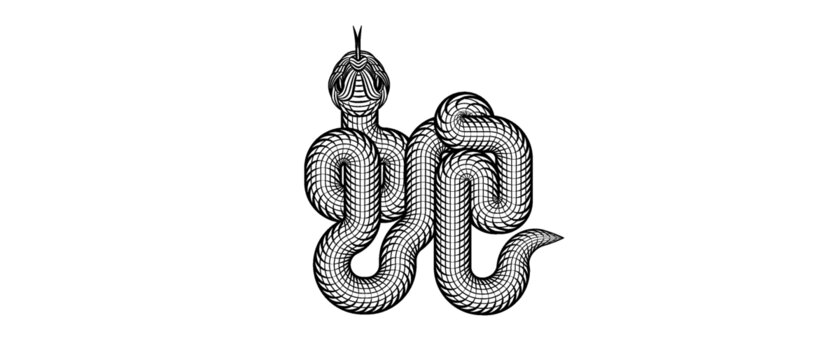 蛇书法抽象