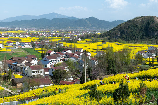 田园风光春天乡村振兴