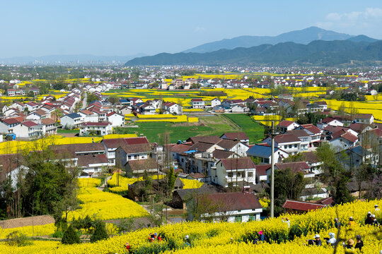 田园风光春天