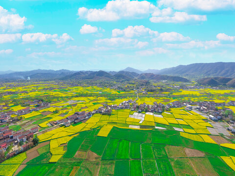 汉中油菜花美丽乡村