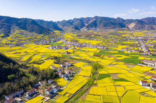 汉中油菜花美丽乡村