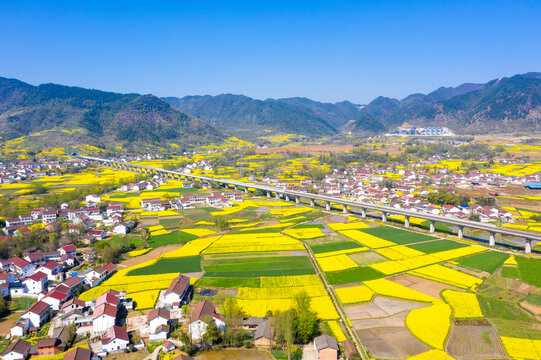 汉中油菜花美丽乡村