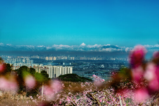 成都龙泉山远眺城市雪山