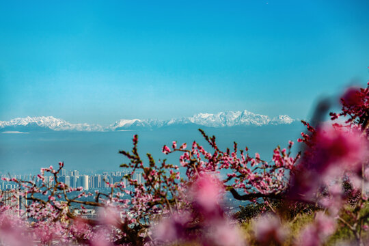 成都龙泉山远眺城市雪山