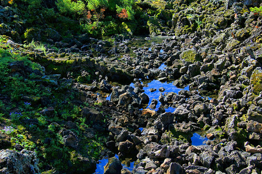 阿尔山天池火山岩地貌