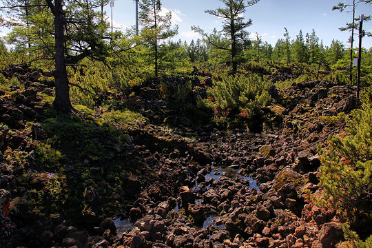 阿尔山石塘林火山岩石