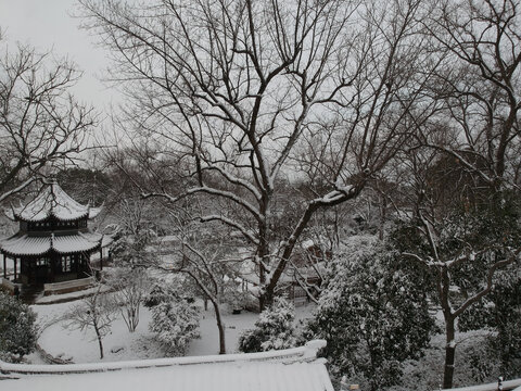 雪天在拙政园眺望北寺塔