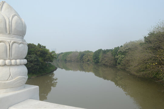 海珠湖桥景