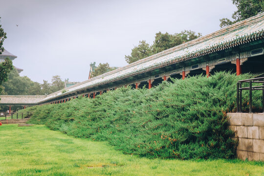 天坛草坪