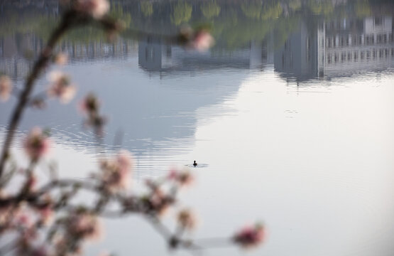 湖景倒影