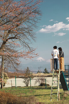 春天樱花下的富士山