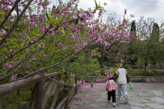 乡村旅游