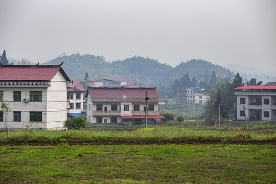 乡村风景