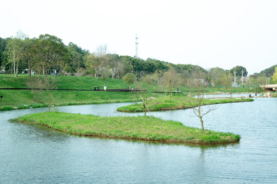 城市公园湖泊