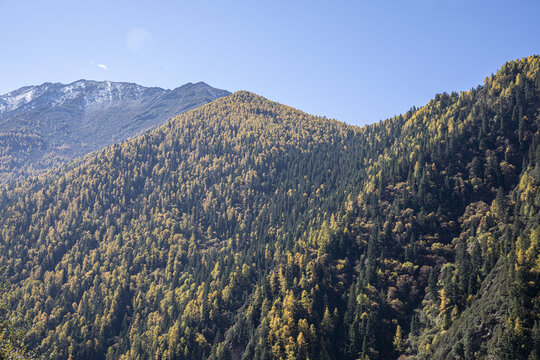 四姑娘山秋季美景