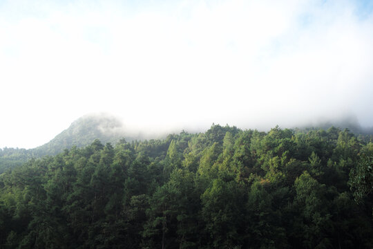 野马岭晨雾