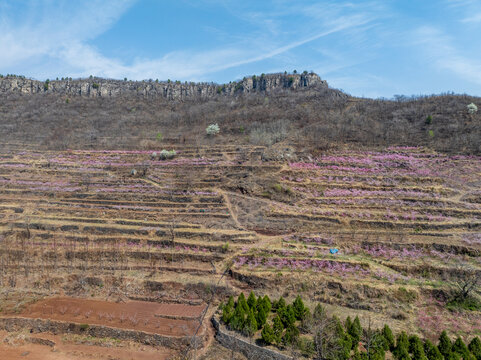 春天的蒙阴岱崮地貌