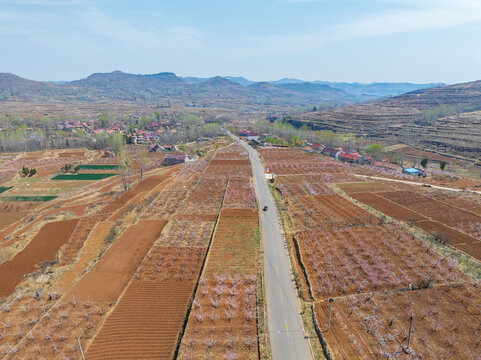 春天的蒙阴岱崮地貌