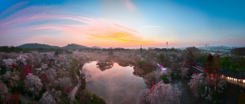 武汉东湖樱花园航拍全景