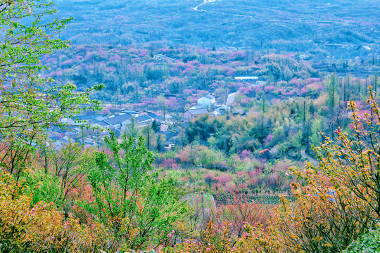 四明山