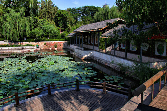 郑州紫荆山公园