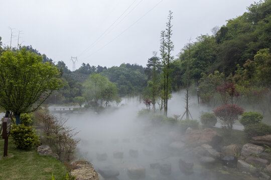 美丽雾景