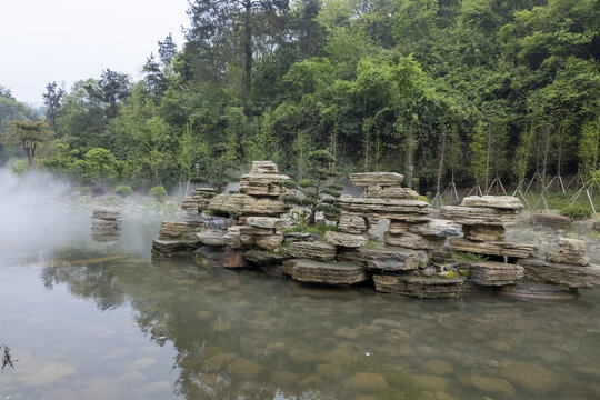 美丽雾景