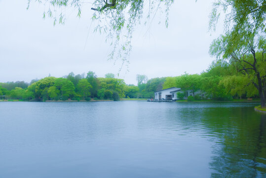 烟雨江南