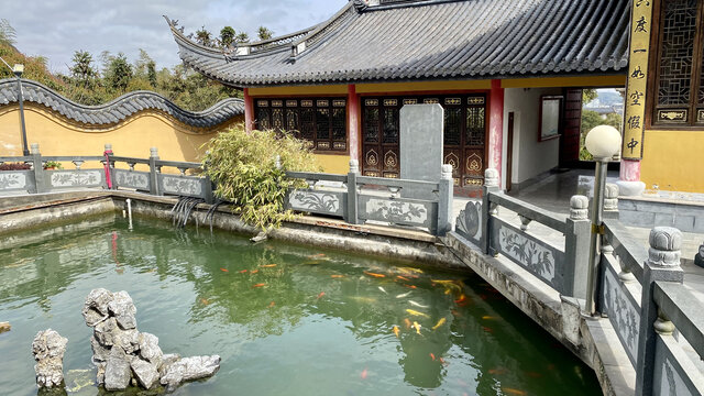 寺院放生池