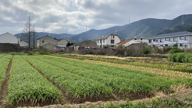 乡村美景