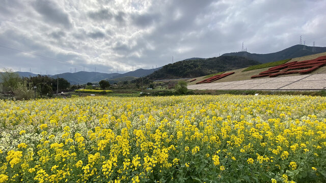 乡村美景