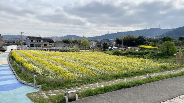 乡村美景